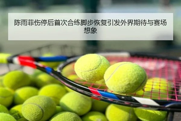 陈雨菲伤停后首次合练脚步恢复引发外界期待与赛场想象